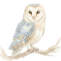 Mascotte chouette